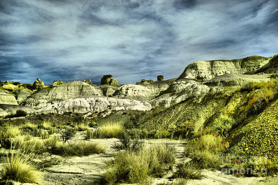 Mystical New Mexico Photograph