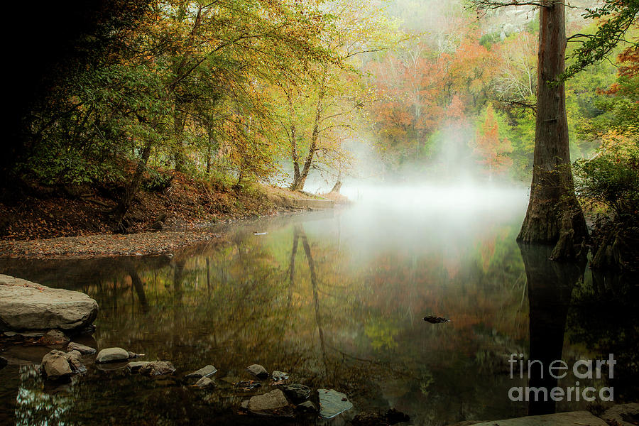 Mystical Reflection Photograph by Iris Greenwell