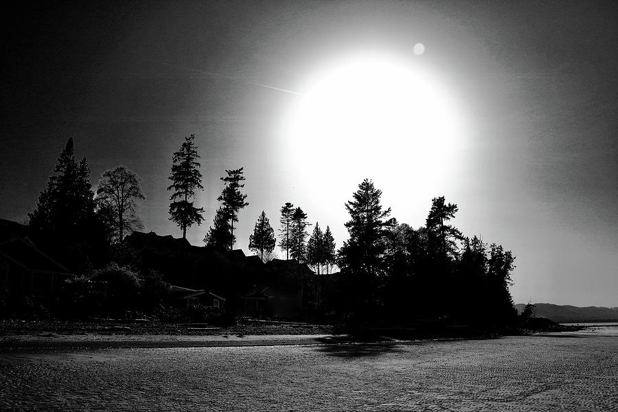 Mystical Sun Photograph by Brian Sereda