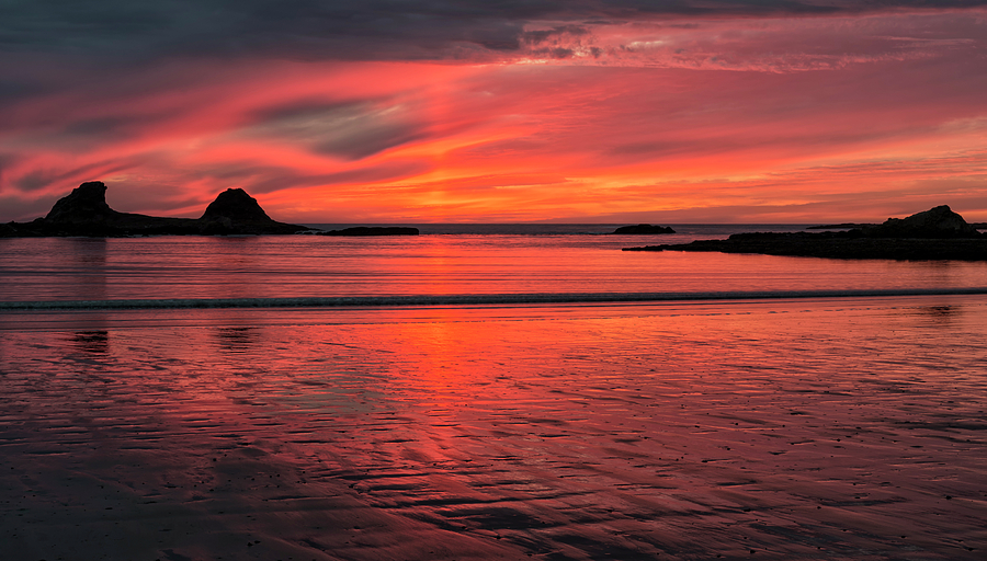 Mystical Sunset Photograph by Loree Johnson
