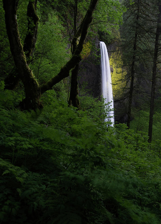 Mountain Photograph - Mystical Waterfall 2 by Larry Marshall