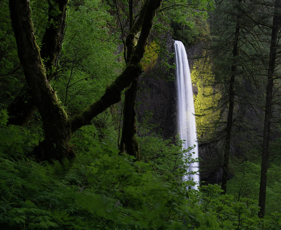 Mystical Waterfall Photograph by Larry Marshall