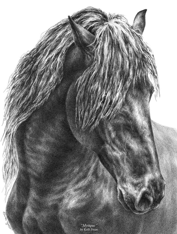Horse Sketch Drawing friesian stallion pencil portrait Artist Print Picture 