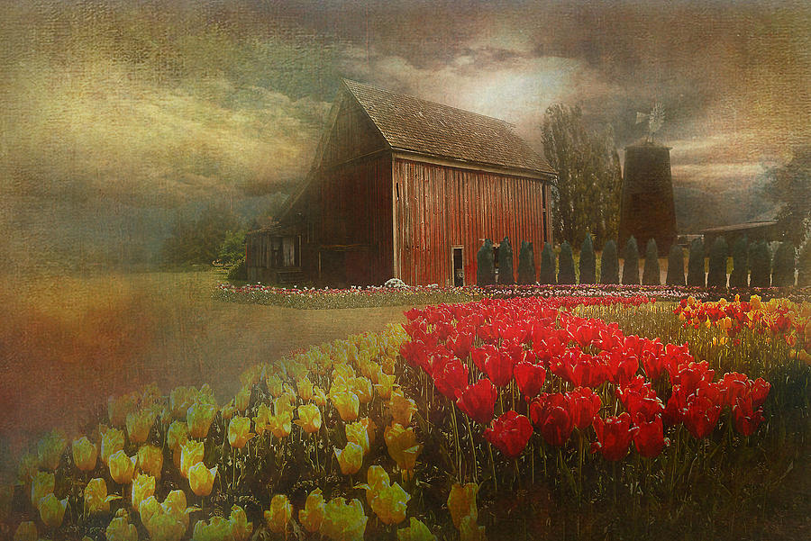 Mythical tulip farm Photograph by Jeff Burgess