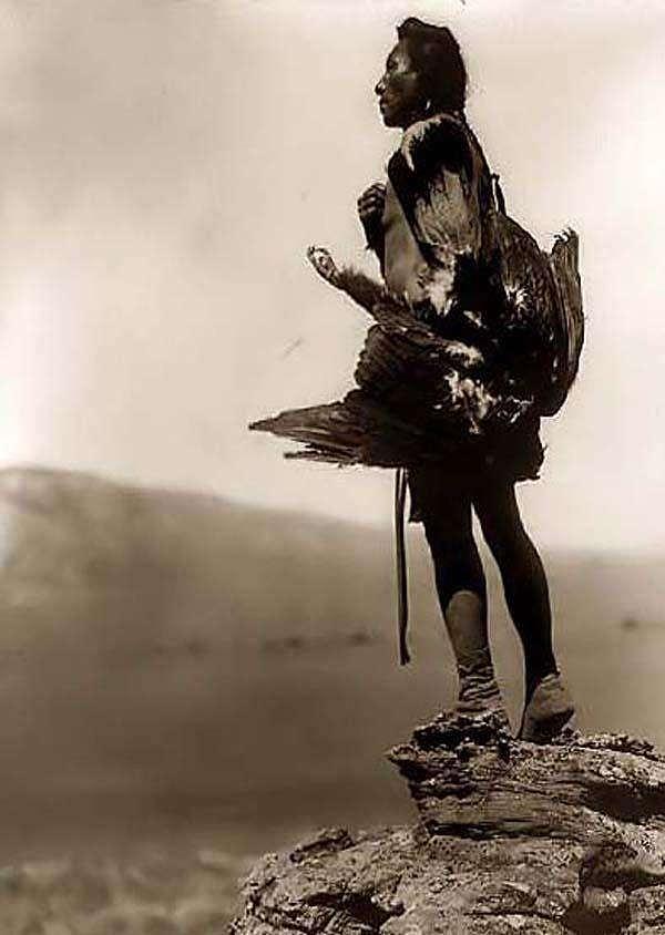 n Indian Eagle Catcher.  1908 by Edward S. Curtis Painting by Celestial Images