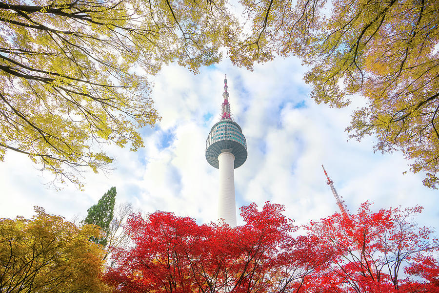 N seoul tower with autumn and blue sky Photograph by Anek Suwannaphoom