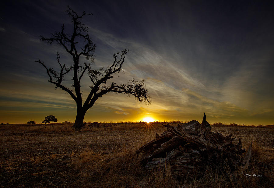 Landscape Photograph - Dry Times by Tim Bryan