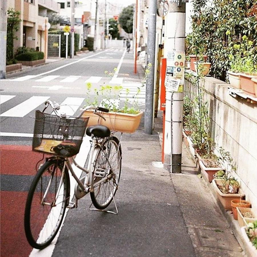 Spring Photograph - 春を運ぶ自転車
#近所 by Tomomi Kobayashi