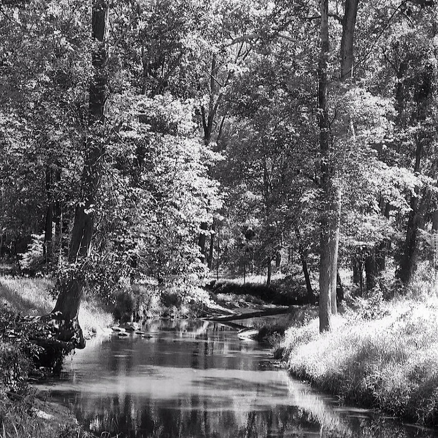 Nadines Creek in Black and White Photograph by Kathy Kelly