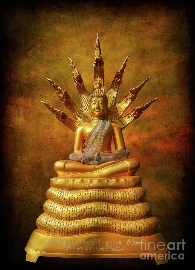 Naga Buddha Photograph by Adrian Evans
