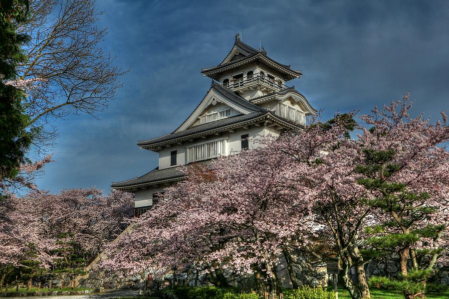 Nagahama Japan Photograph by Paul James Bannerman
