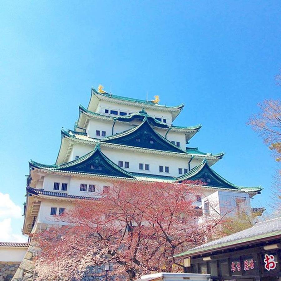 Cherryblossom Photograph - Nagoya Castle In The Days Of Spring by Yoshiaki Tanaka