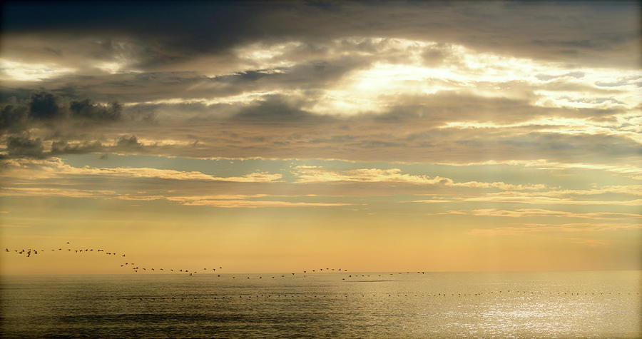 Nags Head, NC Sunrise Photograph by Teresa Tilley