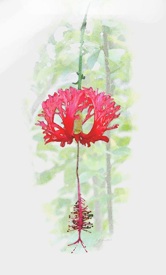 Nakajin Flower Digital Art by Gary Hughes