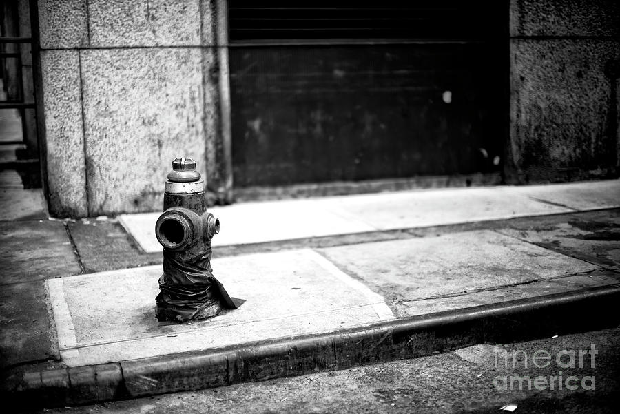 Naked City Fire Hydrant in New York City Photograph by John Rizzuto