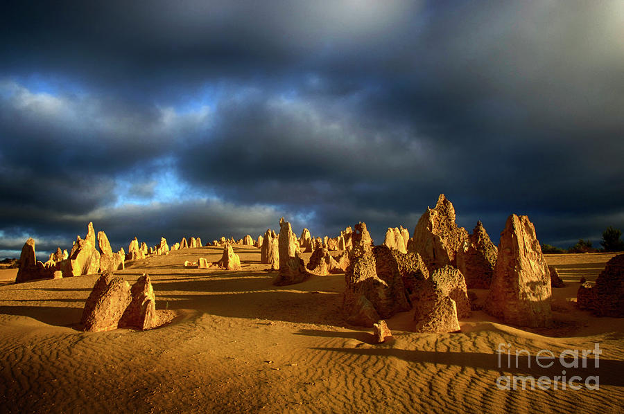 Golden Hour Nambung Desert Australia Photograph by Bob Christopher
