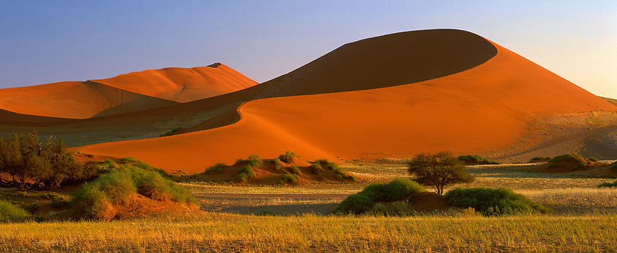 Namib desert dune Photograph by Johan Elzenga