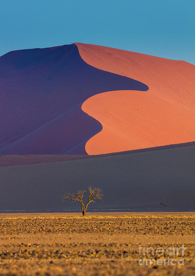 Namib Dune Photograph by Inge Johnsson