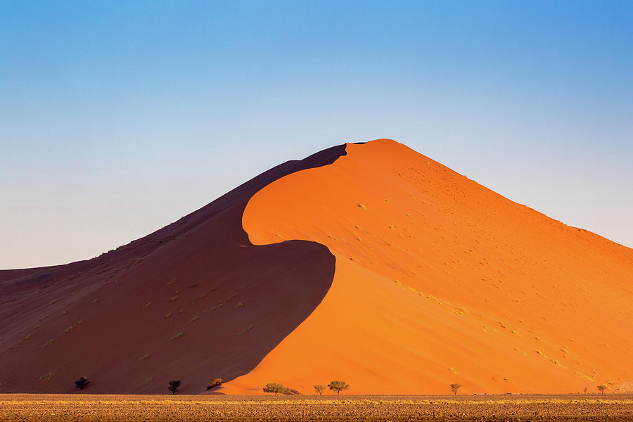Namib Photograph by Francesco Riccardo Iacomino
