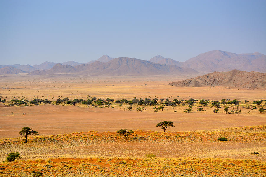 Namib Photograph - Namib View by Schalk Lombard