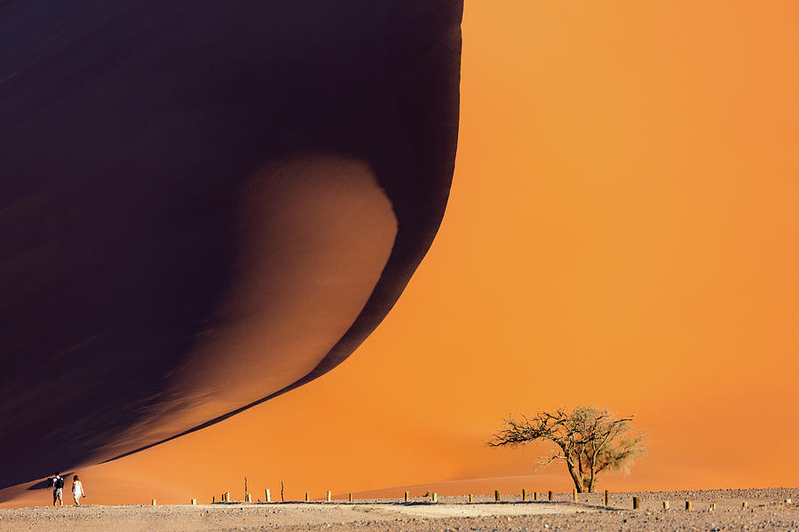Namibia Photograph by Francesco Riccardo Iacomino