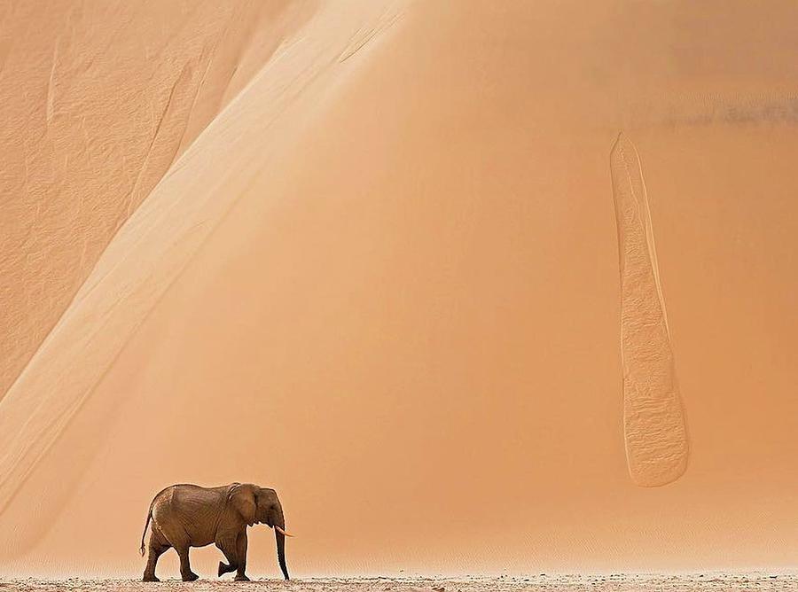Namibia Photograph
