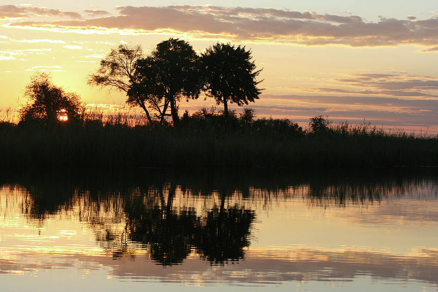 Sunset Photograph - Namibia River Sunset by Karen Zuk Rosenblatt