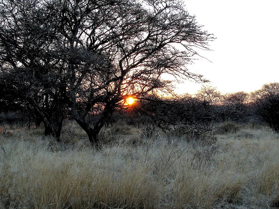 Namibian Morning Photograph by Diane Height