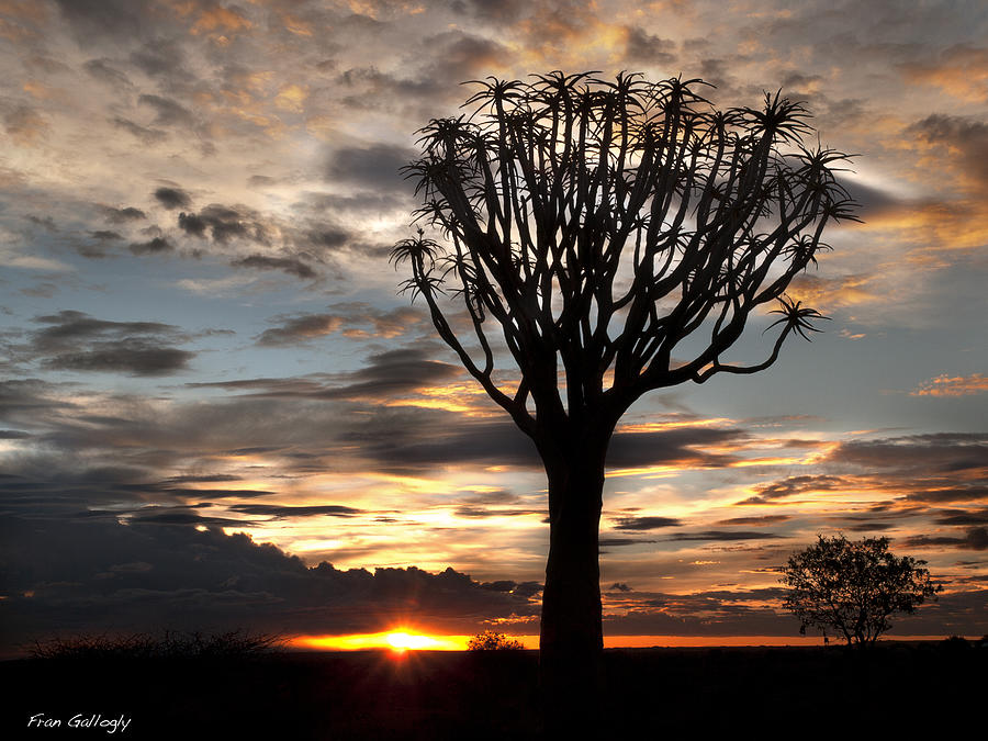 Namibian Sunset Photograph by Fran Gallogly