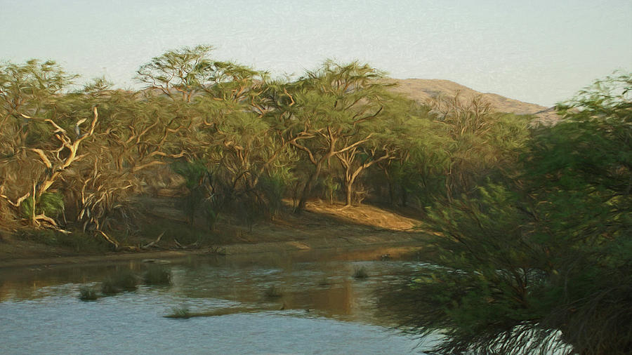 Namibian Waterway Digital Art by Ernest Echols