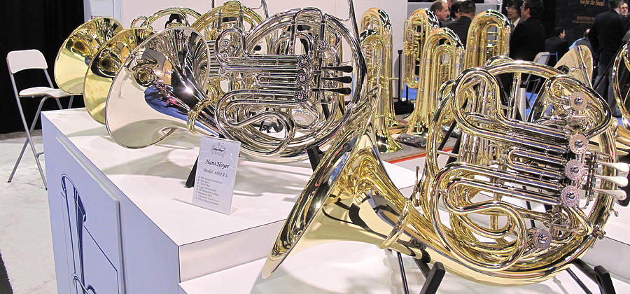 Namm Horns Photograph by Larry Darnell