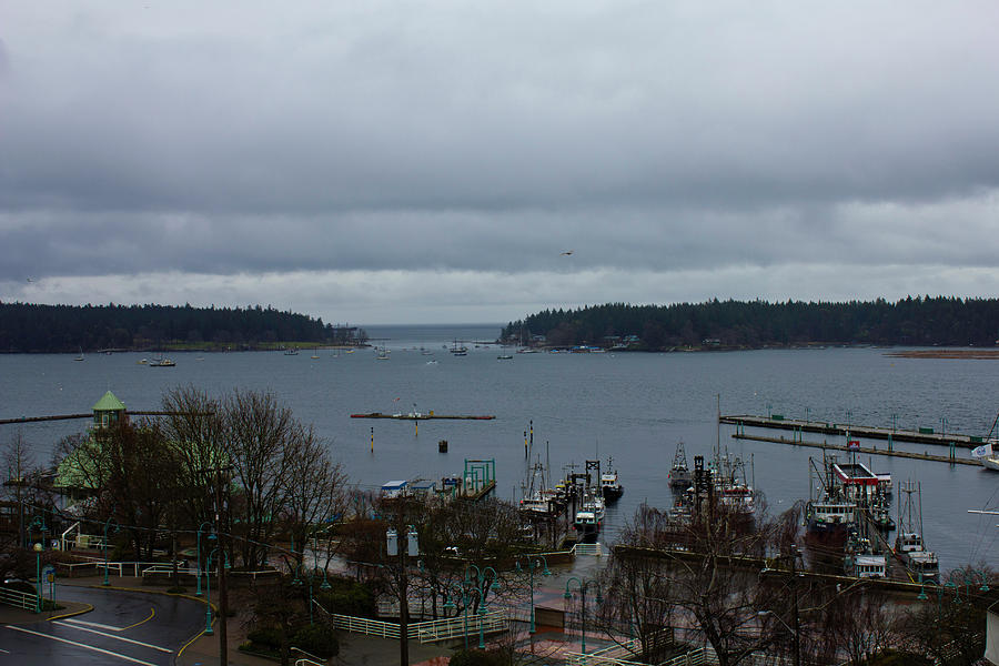 Nanaimo Inner Harbour Photograph by Donna L Munro