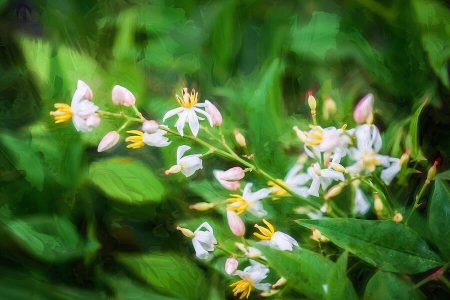Nandina Heavenly Bamboo Painted Photograph by Rich Franco