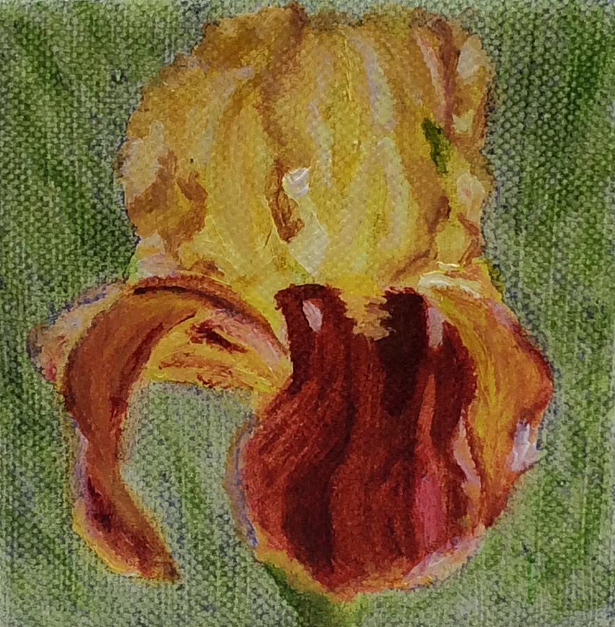 Nannys Sable Iris Painting by Paula Emery