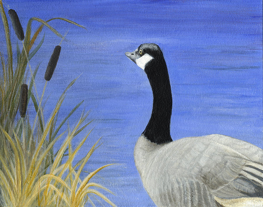 Wildlife Painting - Nanoose Canada Goose by Janice M Booth