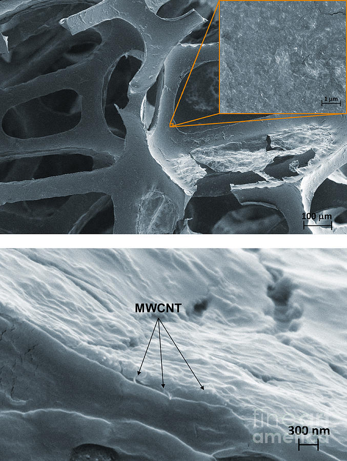 Science Photograph - Nanotubes, Flame-resistant Coating, Sem by Kim/NIST