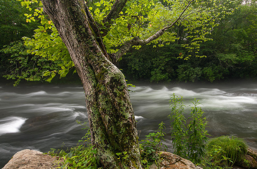Nantahala River Photograph by Derek Thornton