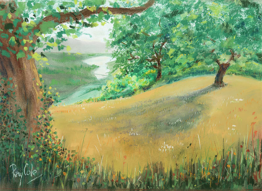 Rolling Hills Painting - Napa Hillside by Lynda Lang