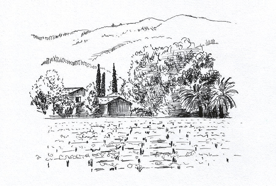 Napa Valley Drawing