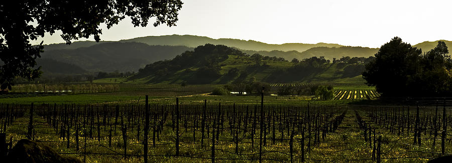 Napa Valley Panorama from the Silverado Trail Photograph by Mark ...