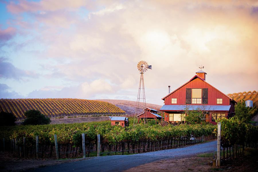 Napa Valley Red Barn Photograph by Aileen Savage