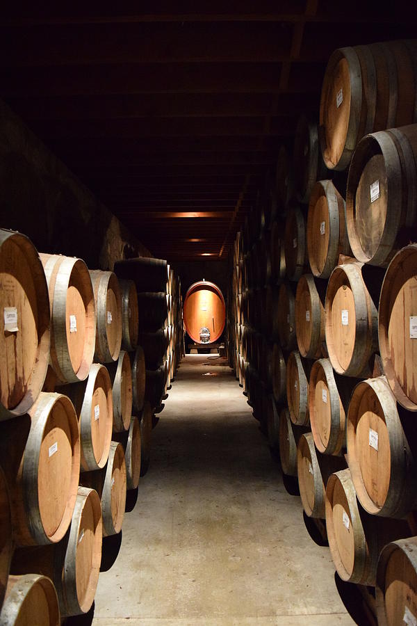 Napa Wine Barrel Hallway Photograph