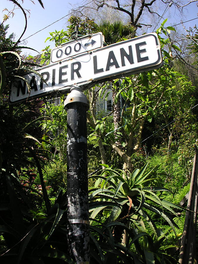 Napier Lane Photograph by C Thomas Cooney