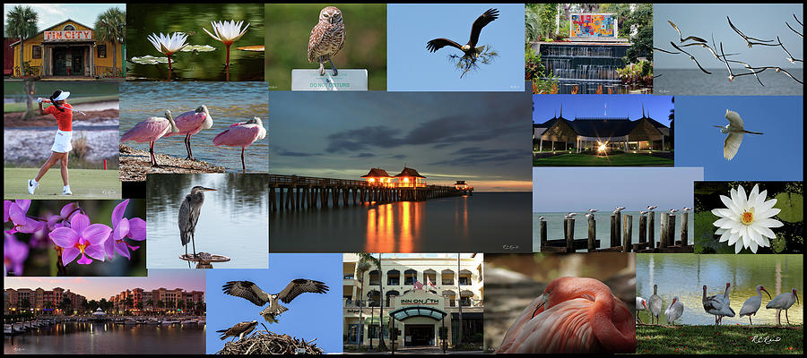 Naples Photo-Montage - Life in Naples Florida Photograph by Ronald Reid