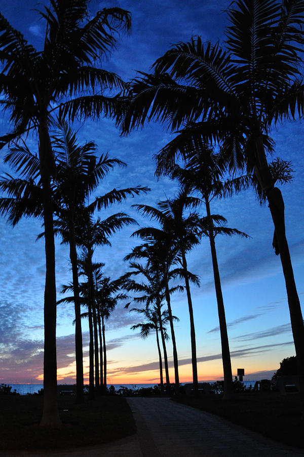 Sunset Photograph - Naples Florida by CM Stonebridge