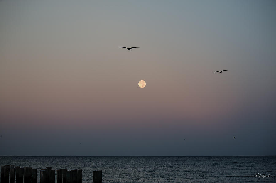 Naples Florida - Full Moon Setting over the Gulf Photograph by Ronald Reid