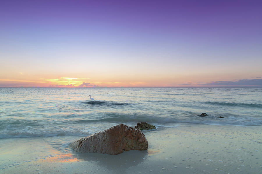 Naples Florida Sunset by CHRISTOPHER L THOMLEY Naples Florida Sunset by CHRISTOPHER L THOMLEY