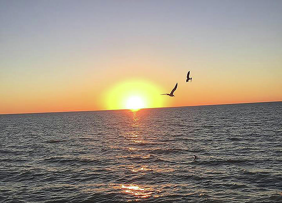 Naples Florida Sunset Photograph
