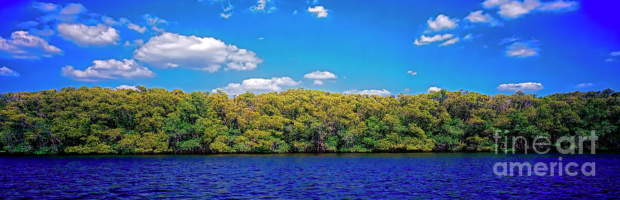 Naples,Fort, Myers, inland, waterways, mangroves Photograph by Tom Jelen