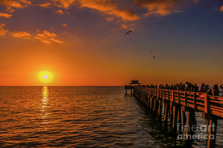 Naples Pier sunset Photograph by Claudia M Photography